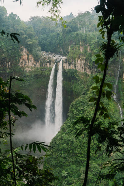 istock Scenic view of waterfall in the jungles on Java 1159145779