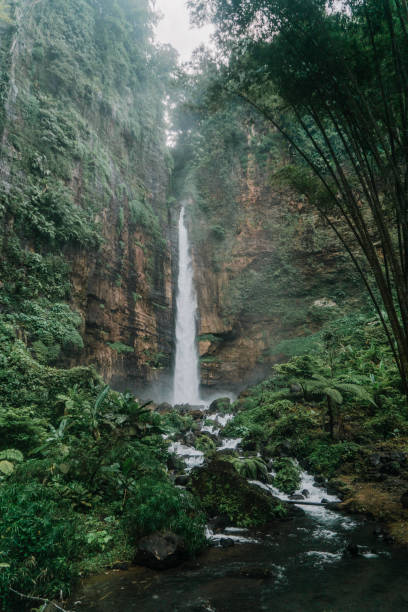 istock Scenic view of waterfall in the jungles on Java 1159147581