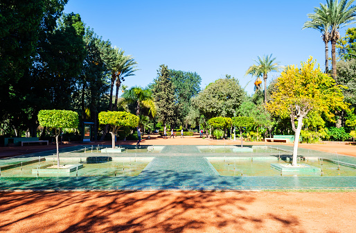 Beautiful parks and gardens in Marrakesh. Morocco. Palm and orange trees. Sights. Travel.