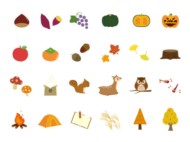 가을 세트1 - chestnut food nut fruit stock illustrations