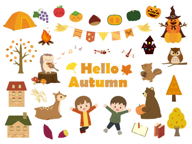 ilustrações, clipart, desenhos animados e ícones de outono set2 - september november pumpkin october