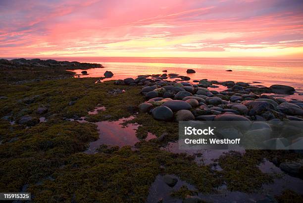 Saint Lawrence Atardecer Foto de stock y más banco de imágenes de Agua - Agua, Aire libre, Alga Marina