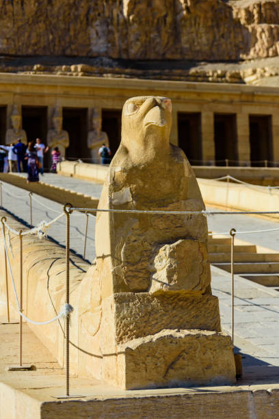 Statue of Horus near the temple of Hatshepsut at the Deir el Bahari in Luxor, Egypt Statue of Horus near the temple of Hatshepsut at Deir el Bahari in Luxor, Egypt el bahari stock pictures, royalty-free photos & images