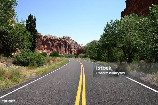 La Strada - Fotografie stock e altre immagini di Colorado - Colorado, Strada, Albero