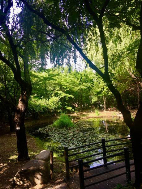 istock Pretty park in Seoul 1159155896