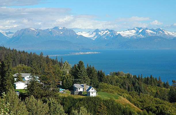 baía de kachemak em um belo dia - homer - fotografias e filmes do acervo