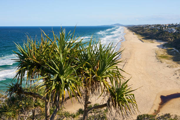 istock Noosa Heads coastline view from Sunshine Beach 1159157065