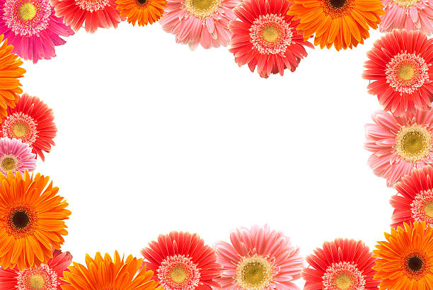 istock Frame made out of colorful red daisies 115915927