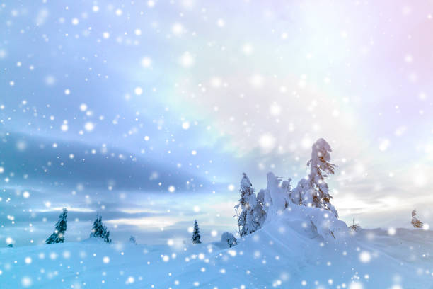 istock Winter mountain blue landscape. Small spruce trees in deep snow on bright cloudy sky copy space background. 1159161392