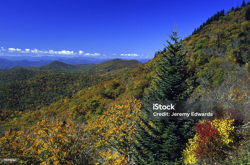 Great Smoky Mountains National Park, 테네시, USA - 로열티 프리 0명 스톡 사진