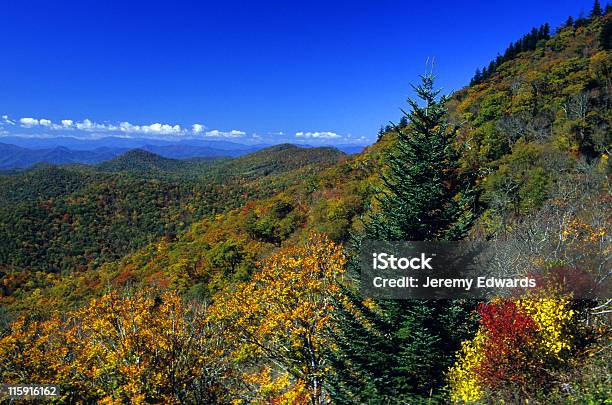 Great Smoky Mountains National Park 테네시 Usa 0명에 대한 스톡 사진 및 기타 이미지 - 0명, 가을, 경관