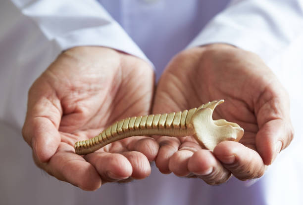 istock Concept of taking care lumbar spine 1159162657
