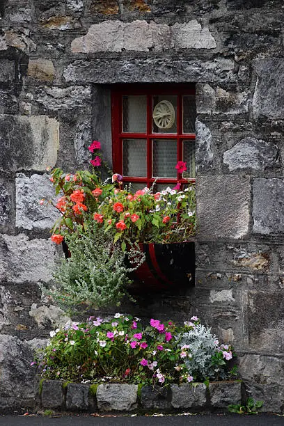 blooming flowerbox at window