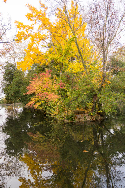 istock Autumn in the beautiful Carmen de los Martires, Granada (Spain) 1159165533