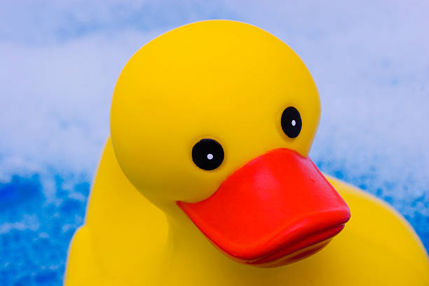 istock Yellow rubber duck floating in bath of bubbles 115916697