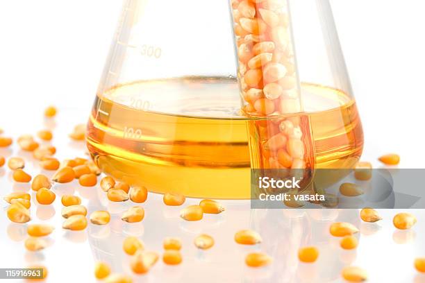 Biofuel Stock Photo - Download Image Now - Beaker, Biofuel, Biology