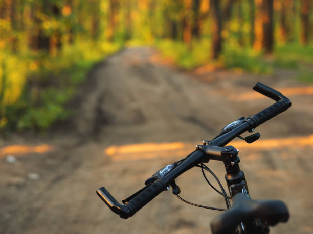 istock Bicycle handlebar close-up . Trip on the forest road in summer. Lifestyle 1159171896