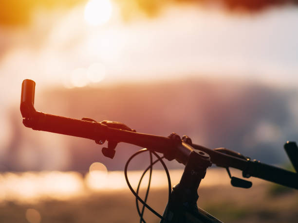 istock Bicycle handlebar close-up . Trip on the forest road in summer. Lifestyle 1159171952