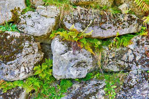 Stone texture with moss and grass