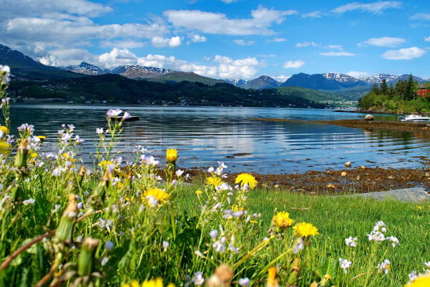 istock Hardanger  fjord 1159175332