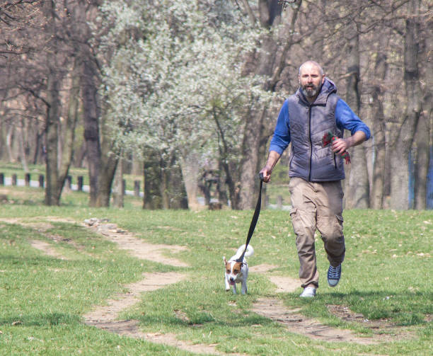 istock Man playing with his dog in a park during Spring time 1159175445