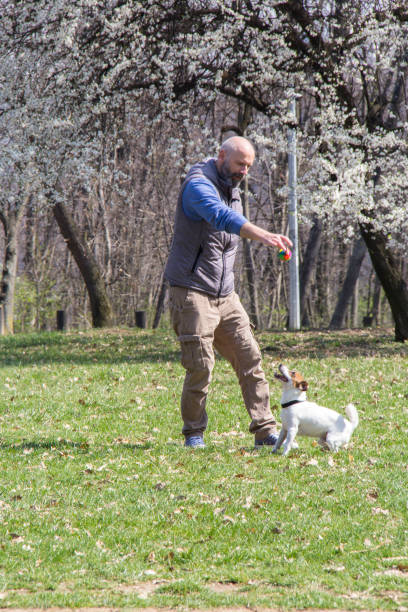 istock Man playing with his dog in a park during Spring time 1159175455
