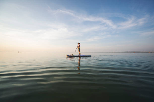 giovane donna adulta paddle boarding - paddleboard oar women lake foto e immagini stock