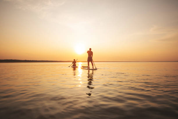 젊은 성인 여성 패들 보딩 - surfing paddling surfboard sunset 뉴스 사진 이미지