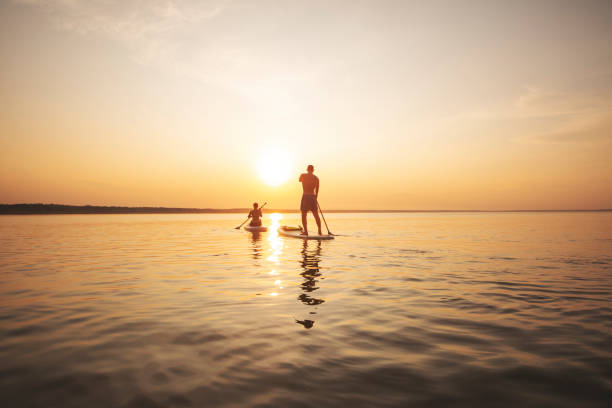 genç yetişkin kadın paddle yatılı - paddle surfing stok fotoğraflar ve resimler