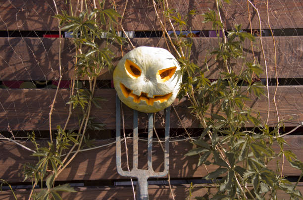 istock Halloween pumpkin  jack lantern on a pitchfork 1159175494