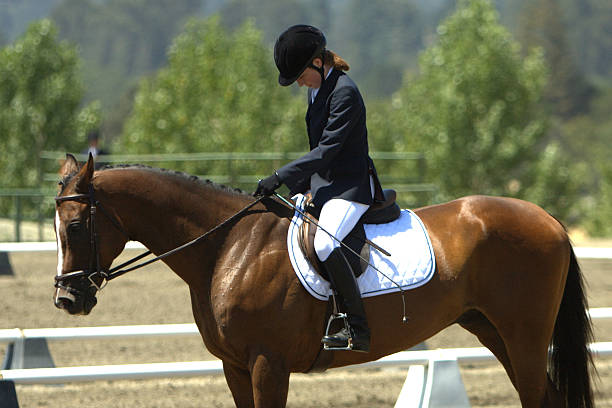 istock Finishing Dressage 115917648