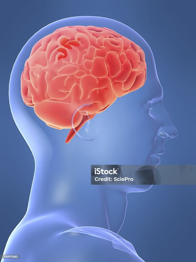 Красный головного мозга - Стоковые фото Абстрактный роялти-фри