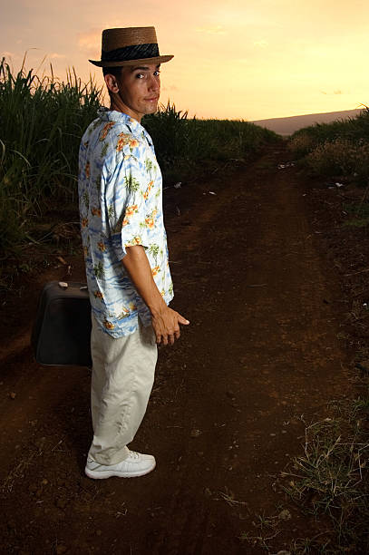 goodbye - travel suitcase hawaiian shirt people traveling ストックフォトと画像