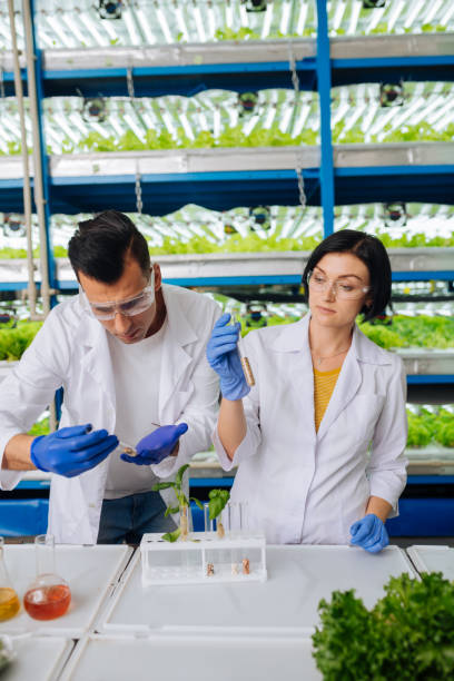 istock Agriculturists standing near table and studying seeds 1159178033
