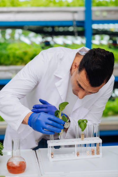 istock Agronomist wearing white coat standing near table and working 1159178057