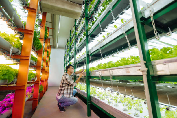 istock Professional agronomist checking temperature in the greenhouse 1159178107