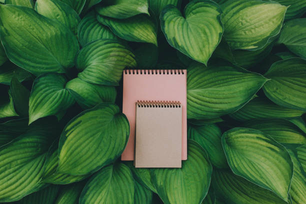 istock Two craft notepads in green leaves. 1159178417