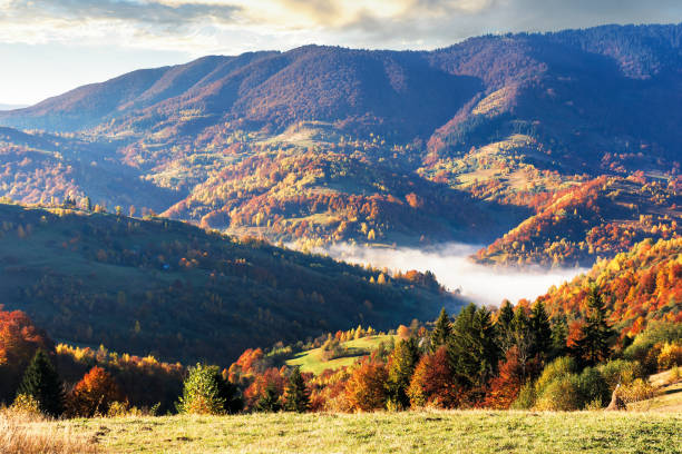 istock beautiful autumn morning scenery in mountains 1159180380