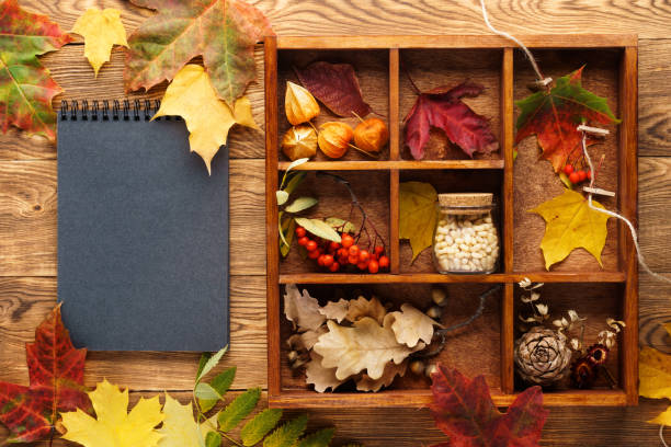 istock Background with leaves, nuts and berries in box and a notebook. 1159180888