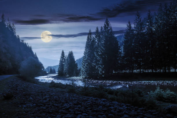 mountain river winding through forest at night mountain river winding through forest at night in full moon light. beautiful nature scenery in autumn. spruce trees by the shore. wonderful synevyr national park landscape in good weather with clouds moonlight photos stock pictures, royalty-free photos & images