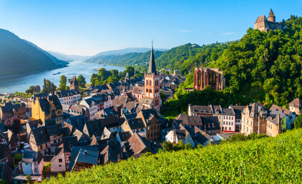 istock Bacharach old town in Germany 1159185137