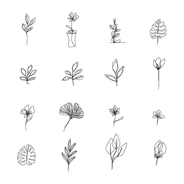 Abstract flowers one line drawing. Beauty flowers isolated on white. Minimalistic style. Continuous line Abstract flowers one line drawing. Beauty flowers minimalistic style. Isolated on white. Continuous line vector drawing single object illustrations stock illustrations