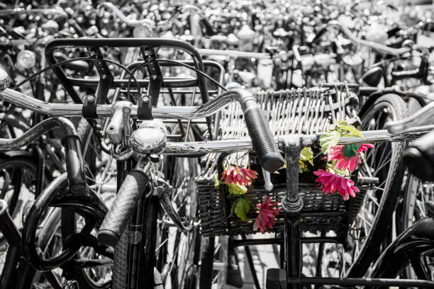 Bicycle parking, black and white with colourful flowers, Rotterdam, Netherlands