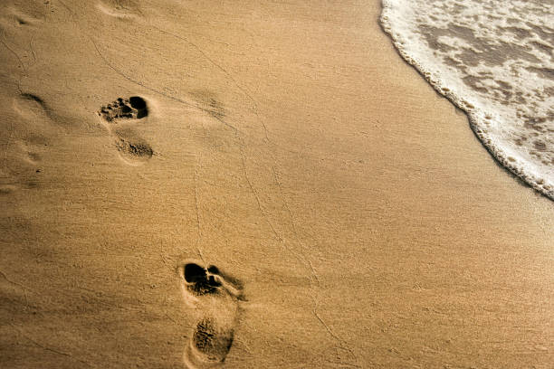 istock footprints on golden color sandy beach 1159187942
