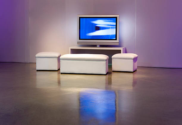 istock Apartment with Plasma television 115918854