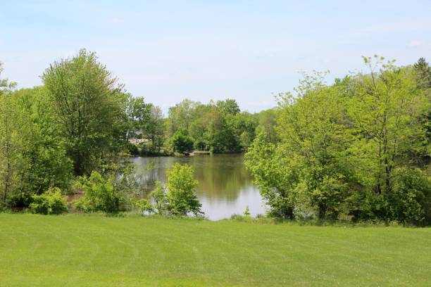 istock Green Field and the Lake 1159189058