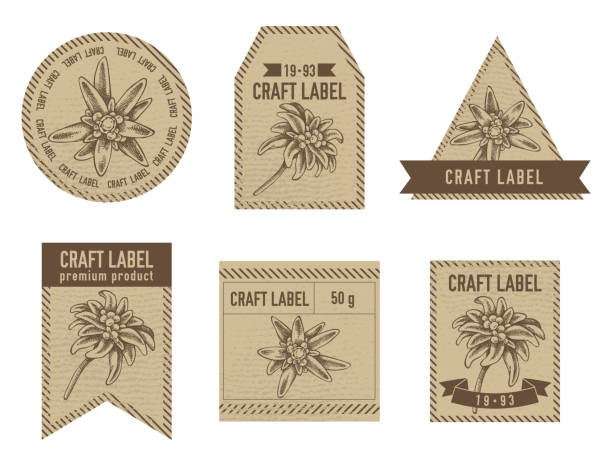 etykiety rzemieślnicze z ilustracją stockową edelweiss - edelweiss stock illustrations