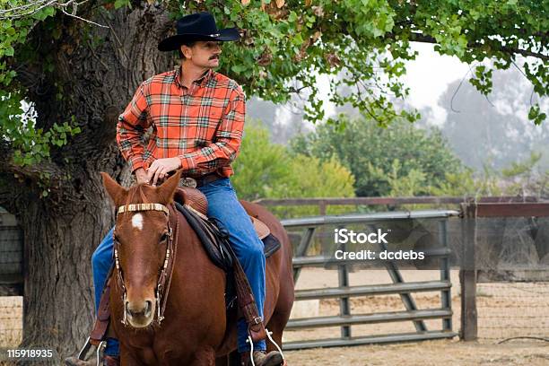 Photo libre de droit de Sur Son Cheval De Cowboy banque d'images et plus d'images libres de droit de Adulte - Adulte, Arbre, Article de sellerie