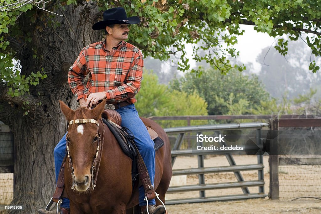 Cowboy em seu cavalo - Foto de stock de Adulto royalty-free