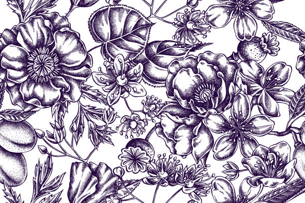 アーモンド、ケシの花、ティリアコルデータと芸術的なパターン - poppy flower field floral pattern点のイラスト素材／クリップアート素材／マンガ素材／アイコン素材